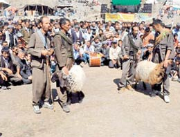 PKK kuzuları da kullandı