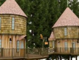 Harry Potter'ın yazarının devasa ağaç evleri